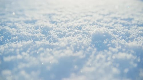 Snow Covers the Ground Reflecting Sunlight in a Winter Landscape