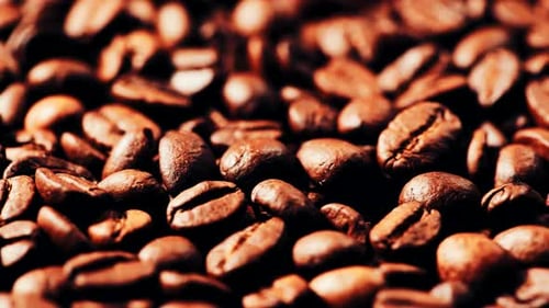 Roasted Coffee Beans in a Close Up Shot