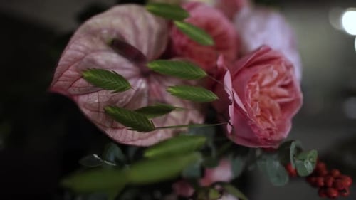 Florist girl works in flower shop Elya