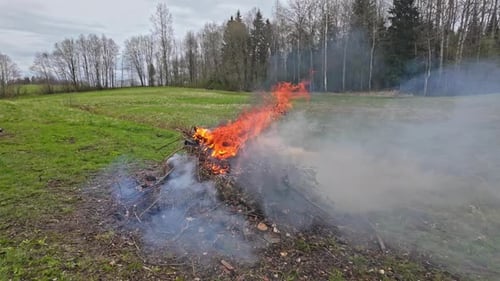 Bonfire in a Green Meadow in slow motion with thick smoke rising