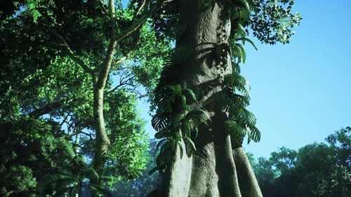 Lush Tropical Forest Tree with Realistic Climbing Vines Animation