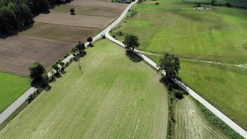 RC Plane Flying Over Narrow Road Between Agricultural Land On A Sunny Summer Day. - aerial tracking