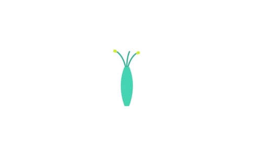 Animated Flat Design Flowers Growing in Minimalist Vase