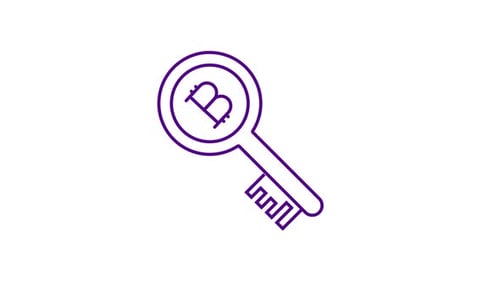 Animated Key lcon