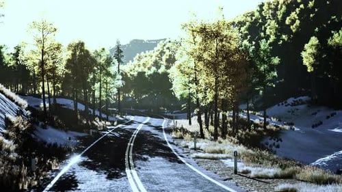 Curvy Asphalt Road Through Forest in Autumn