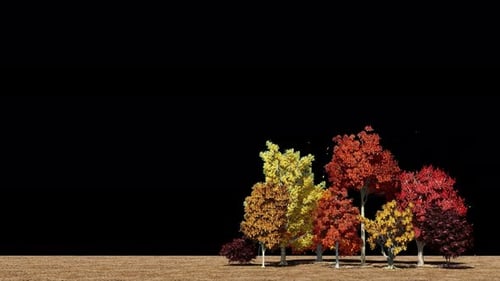 Realistic Animated Autumn Trees with Falling Leaves