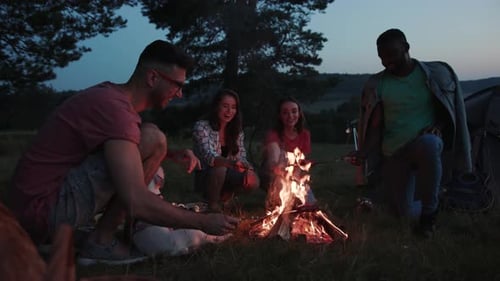 Close Up View of Smiling People Sitting Around Campfire and Grilling Sausages on Sticks in Twilight