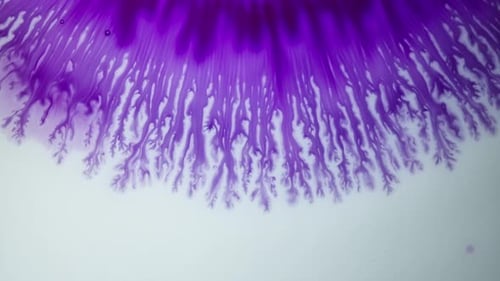 shot of purple ink mixing into liquid, creating vibrant organic patterns and textures