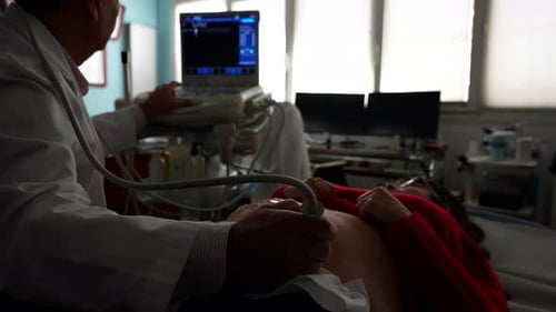 Le gynécologue commence l'échographie avant de montrer les premières images de l'embryon