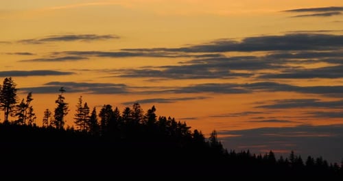 Zoome on the hilltops where dark trees are hidden in the background of shadows and silhouettes of cl