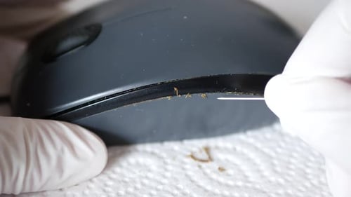 Close up clip of a man with gloves carefully cleaning mouse at office / home to clean out the dirt a
