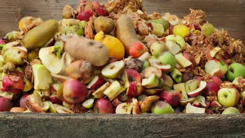 Cubo de compostaje con residuos orgánicos. Contenedor de compostaje de residuos bioalimentarios