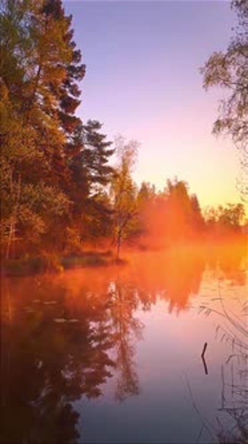 morning view of the lake full of mist with sunrise light