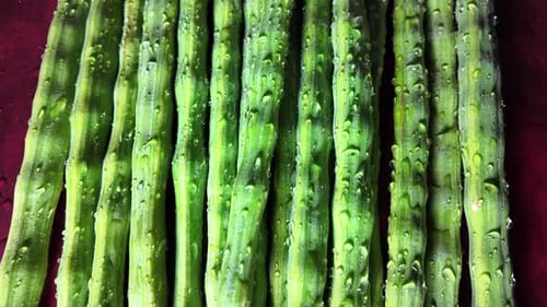Fresh Green Moringa Sticks Close Up