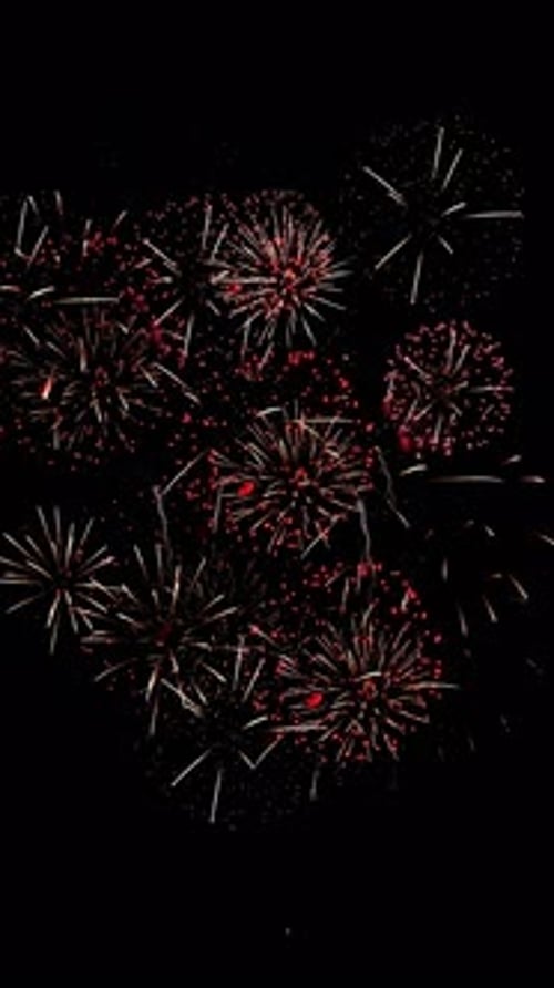 Realistic Fireworks Exploding in the Night Sky