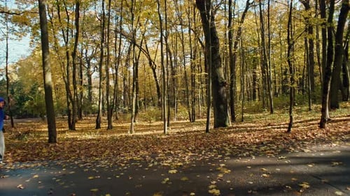 Dynamic Run Through Autumn's Golden Canopy for an Active Lifestyle Adventure