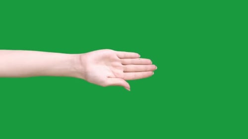 Woman's Hand Holding on Green Screen Chroma Key