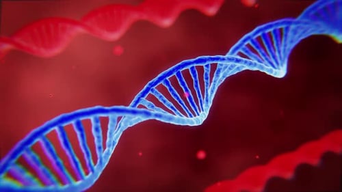3D-DNA-Helix rotiert auf rotem Hintergrund