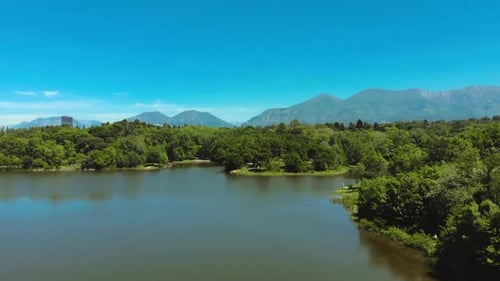 Green trees forest and meadows on park surrounded by calm lake water on a bright blue sky background