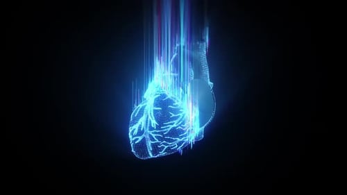 Holographic Heart Scan – 3D Medical Cardiology Visualization