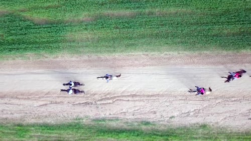 Horseback riding in a green Badlands terrain, aerial footage