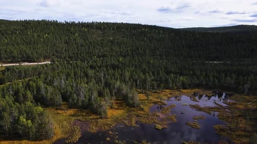 Flying over small lake surrounded by pine forest, aerial dolly in