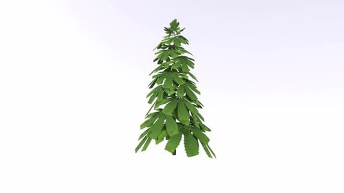 Stylized Green Tree with Leaves