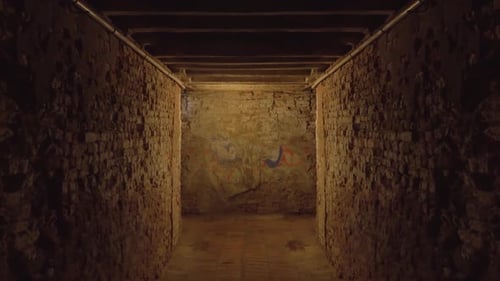 Dark Tunnel with Brick Walls