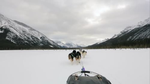 Sled dogs racing across snowy field below majestic mountains in winter