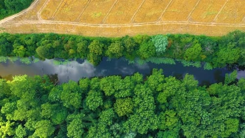 Top down view on exotic winding river flows through green wetlands. Birds eye view of zig-zag creek.