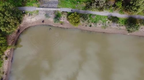 Police Divers Searching Suburban Dam
