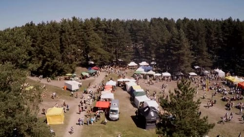 festival, an artisan market in an open-air museum, lots of people