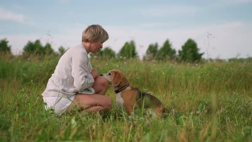 Dog Owner Playfully Interacting with Dog in Grassy Field Sharing Joyful Bonding Moment