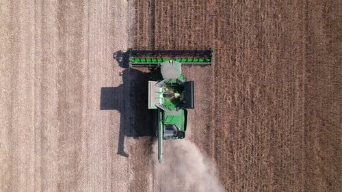 Combine harvests soybeans in the field. aerial top view.