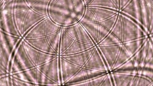 Abstract Geometric Sacred Mandala Pattern Background Animation