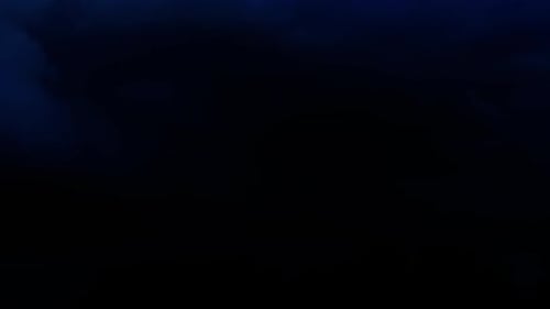 Crows sit on treetops in the dark. Crows in the branches before the storm