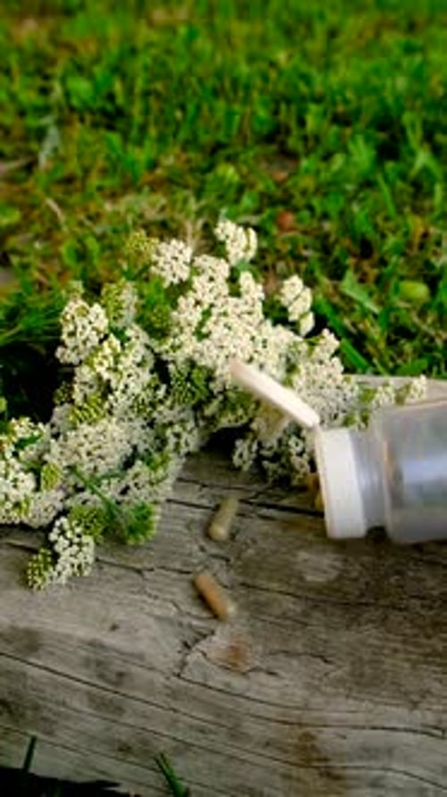 Herbal Supplement Capsules with White Flowers on Wood