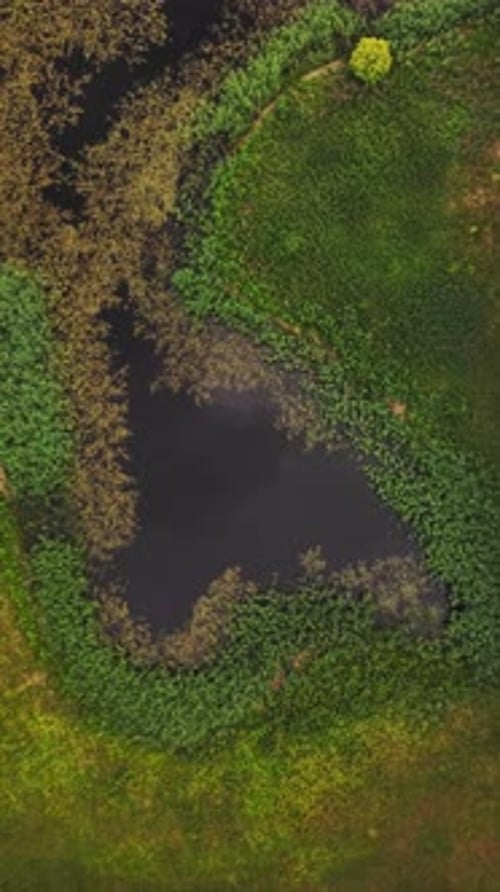 Vue aérienne d'un petit étang en forme de cœur près du lac Galve, en Lituanie.