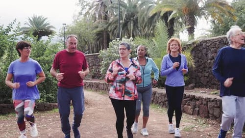 Group of sport senior people workout running in nature at park city. Older friends healthy lifestyle