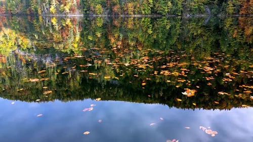 Ruhiger See an einem Herbsttag mit bunten Blättern auf der Wasseroberfläche, die die