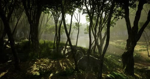 Enchanting Forest Landscape with Serene Water Body in the Early Morning Glow