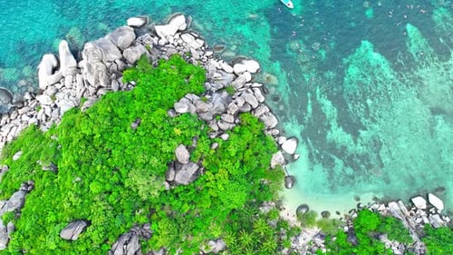 Beach and rocks with green plants, coconut trees and clear sea water.