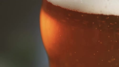 Beer bubbles rise to the head in a curved pint glass with copy space