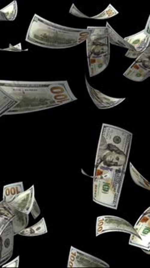 Money Falling Down Animation Vertical