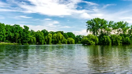Green Urban Park.