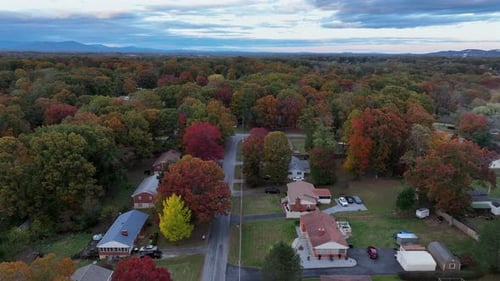 Aerial view of an American suburban neighborhood in peak autumn, showing colorful fall foliage,