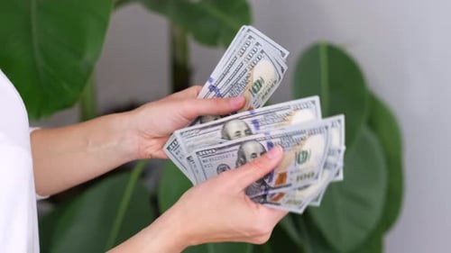 Excited Woman Showing Cash Money 1000 American Dollars Banknotes Hands with Money Close Up Income