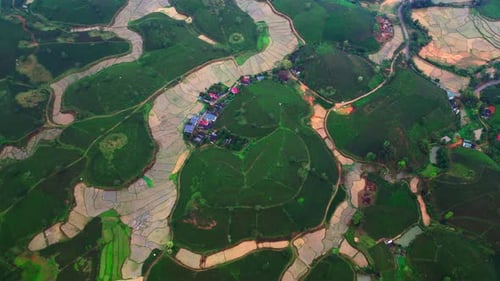 Overhead Footage of Tea Fields and Flooded Rice Paddies in Northern Vietnam Countryside