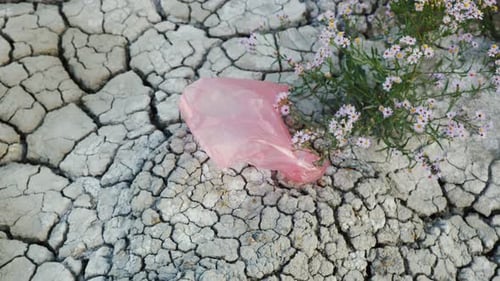 Una bolsa de plástico vuela en tierra seca: desastre ambiental