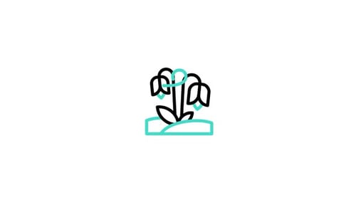 Flower Animated Icon